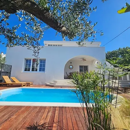 Pool House Arbanija